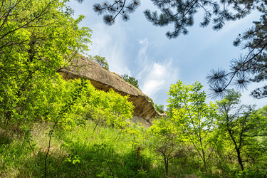 Similar image 21217155