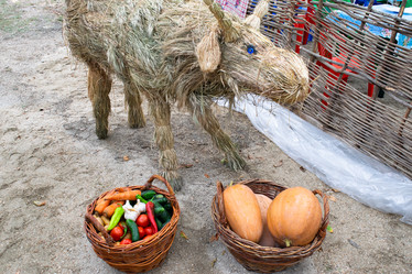 Similar image 21248411