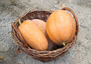 Similar image 21248414