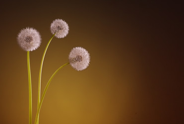 Similar image 21247472