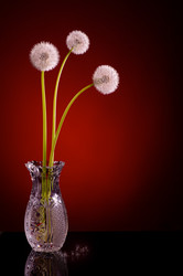 Similar image 21249738