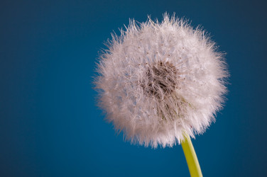 Similar image 21249816