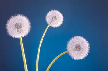 Similar image 21256140