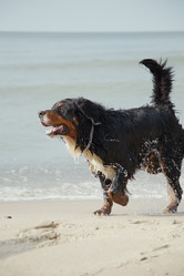 Similar image 21256143