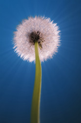 Similar image 21256146