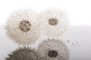 Similar image 21256150