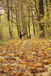 Similar image 21243664