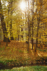 Similar image 21244003