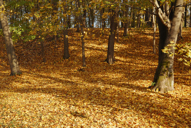 Similar image 21244004