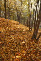 Similar image 21244005