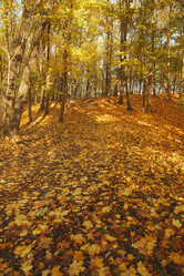 Similar image 21244007