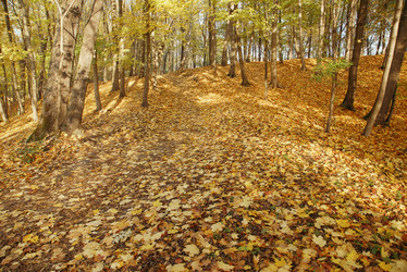 Similar image 21244008