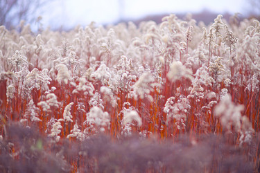 Similar image 21244246