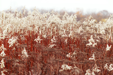 Similar image 21244337