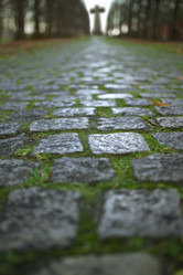 Similar image 21244338