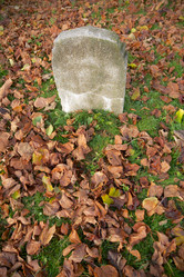 Similar image 21245360