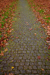 Similar image 21245364