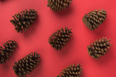 Similar image 21203100