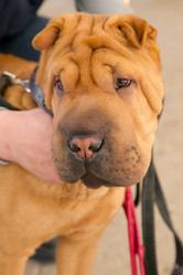 Similar image 21256153