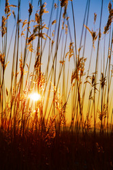 Similar image 21247474