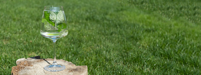 Similar image 21232486