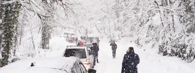 Similar image 21232489