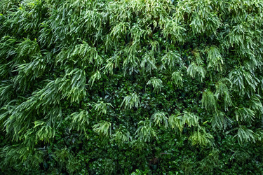 Similar image 21232490