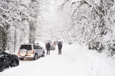 Similar image 21232491