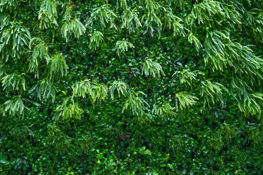 Similar image 21232498