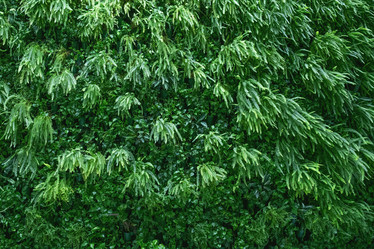 Similar image 21232500