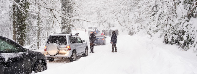 Similar image 21232501