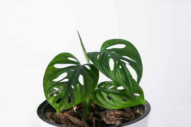 Similar image 21232507