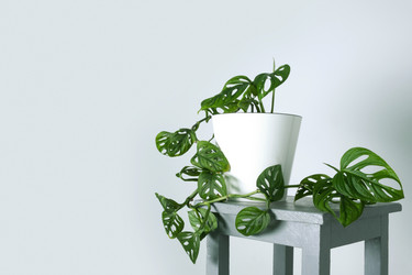 Similar image 21232515