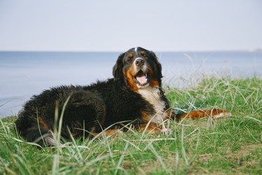 Similar image 21211836