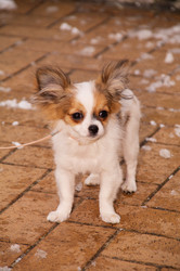 Similar image 21211837