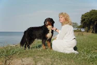 Similar image 21211839