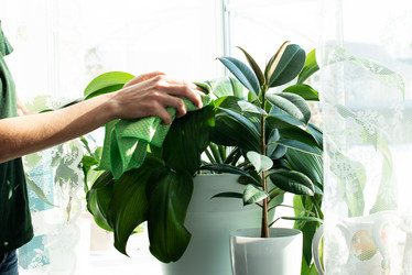 Similar image 21232550