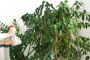 Similar image 21232552