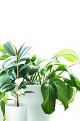 Similar image 21232553