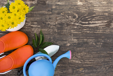 Similar image 21232554