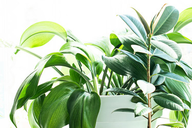 Similar image 21232555