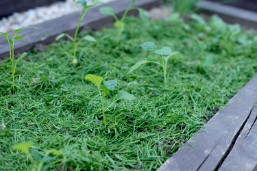 Similar image 21232558