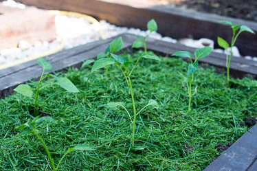 Similar image 21232560