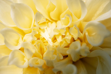 Similar image 21232562