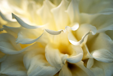 Similar image 21232565