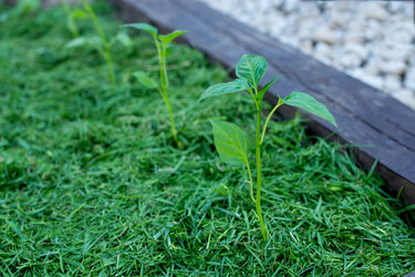 Similar image 21232569