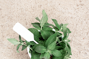 Similar image 21232570