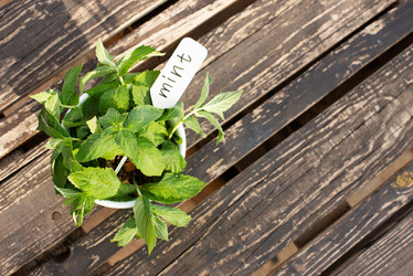 Similar image 21232572