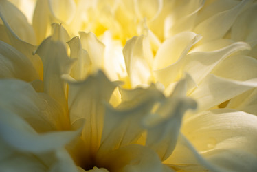 Similar image 21232573