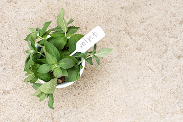 Similar image 21232574